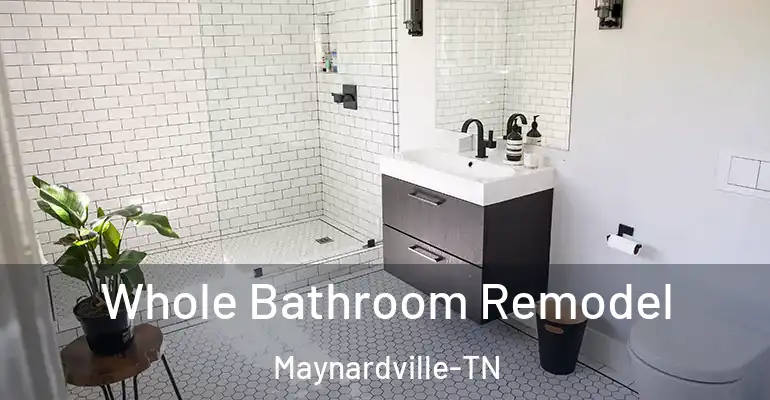 inner Bathroom imggen Whole Bathroom Remodel Maynardville-TN