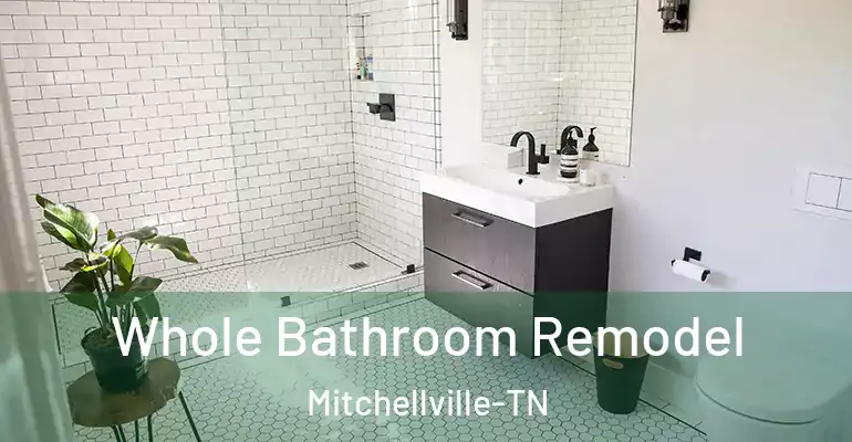inner Bathroom imggen Whole Bathroom Remodel Mitchellville-TN