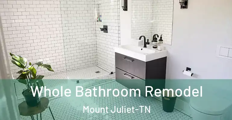 inner Bathroom imggen Whole Bathroom Remodel Mount Juliet-TN