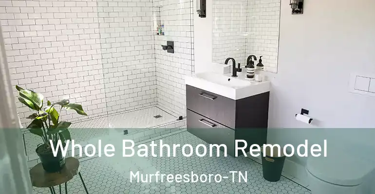 inner Bathroom imggen Whole Bathroom Remodel Murfreesboro-TN