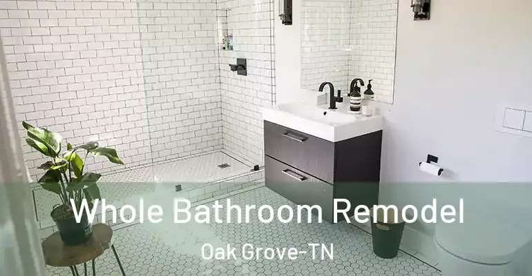 inner Bathroom imggen Whole Bathroom Remodel Oak Grove-TN