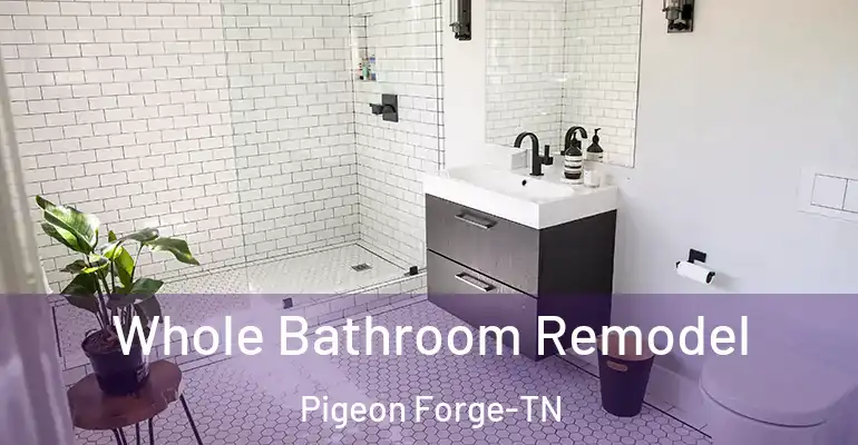 inner Bathroom imggen Whole Bathroom Remodel Pigeon Forge-TN