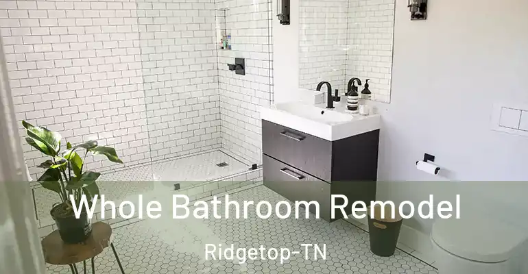 inner Bathroom imggen Whole Bathroom Remodel Ridgetop-TN