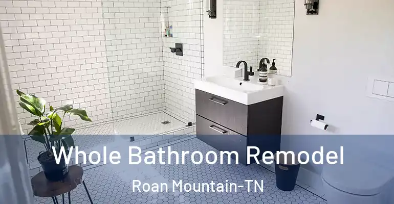 inner Bathroom imggen Whole Bathroom Remodel Roan Mountain-TN