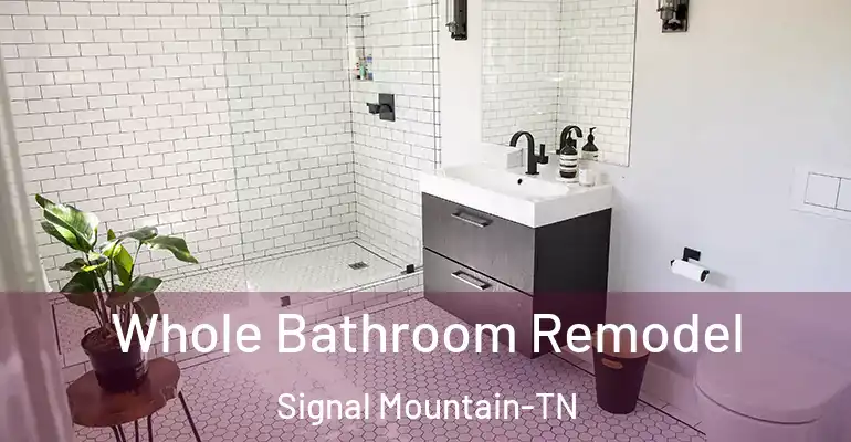 inner Bathroom imggen Whole Bathroom Remodel Signal Mountain-TN