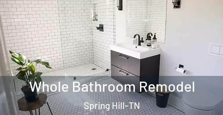 inner Bathroom imggen Whole Bathroom Remodel Spring Hill-TN