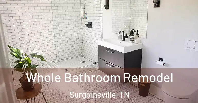 inner Bathroom imggen Whole Bathroom Remodel Surgoinsville-TN