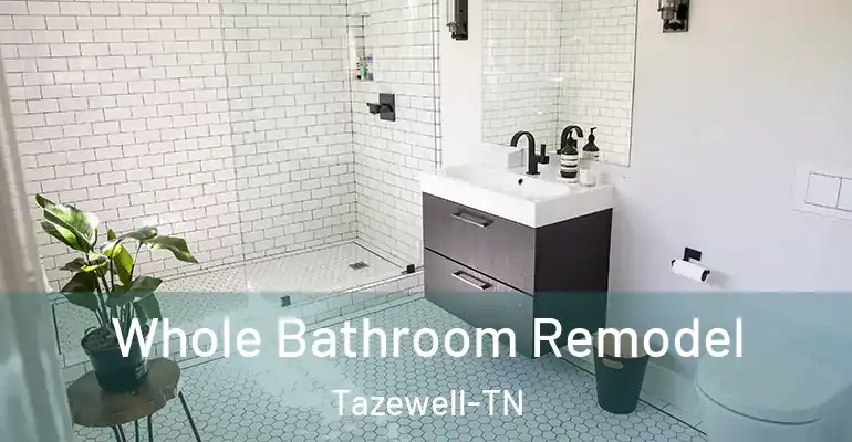 inner Bathroom imggen Whole Bathroom Remodel Tazewell-TN