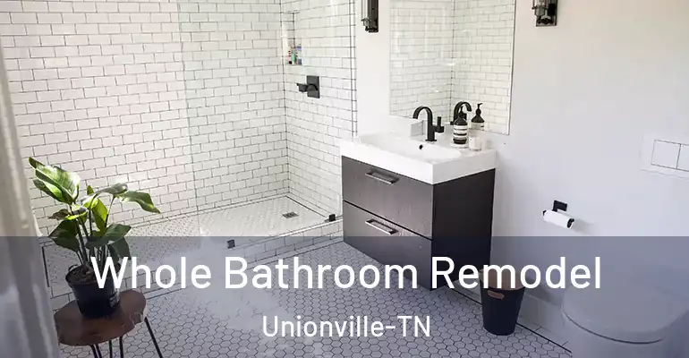 inner Bathroom imggen Whole Bathroom Remodel Unionville-TN