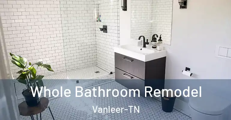 inner Bathroom imggen Whole Bathroom Remodel Vanleer-TN