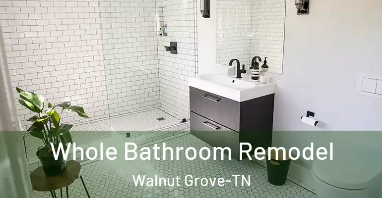 inner Bathroom imggen Whole Bathroom Remodel Walnut Grove-TN