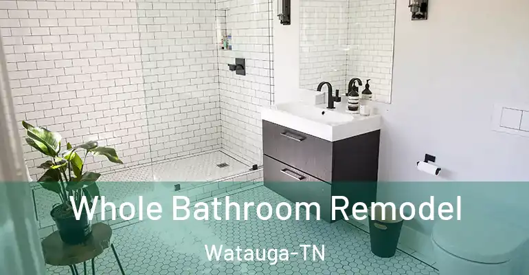 inner Bathroom imggen Whole Bathroom Remodel Watauga-TN